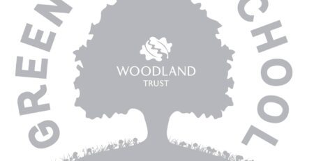 green tree schools silver award