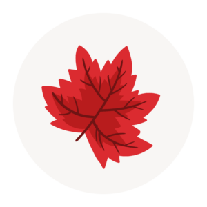 Sycamore@300x